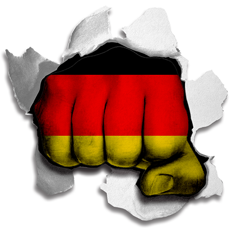 Fist Germany Flag Logo vinyl decal